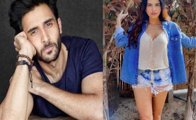 तारा सुतारिया के बाद रोहन मेहरा कर रहे इस अभिनेत्री को डेट, साथ में मनाया था वैलेंटाइन डे