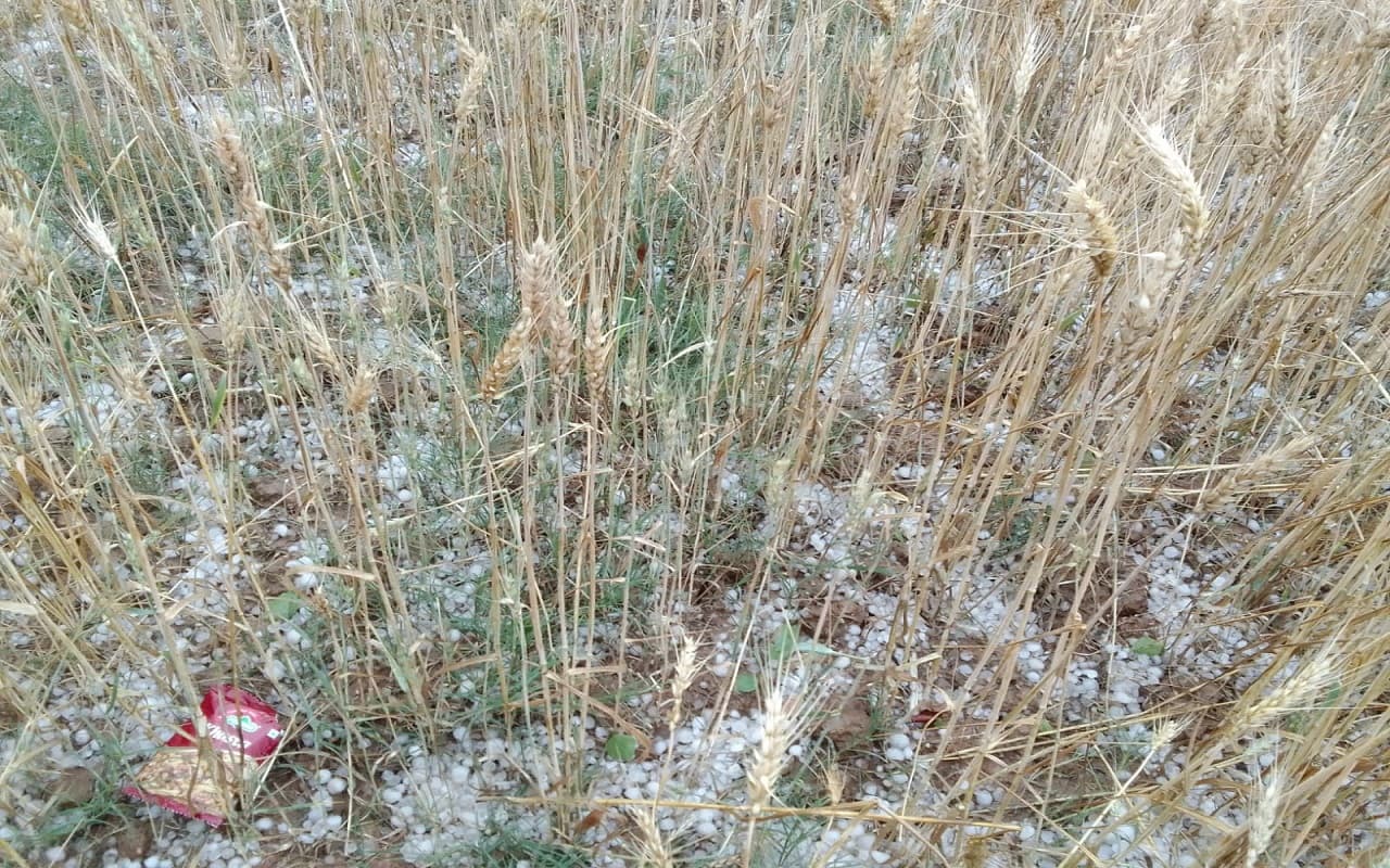 Jharkhand Weather Update: मूसलाधार बारिश के साथ ओलावृष्टि, वज्रपात से 2 की मौत, मां-बेटी समेत 3 महिलाएं घायल