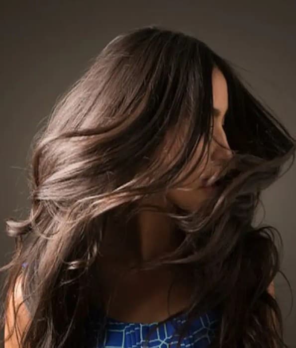 Beauty Tips: इन घरेलू चीजों से करें बालों को कंडीशन