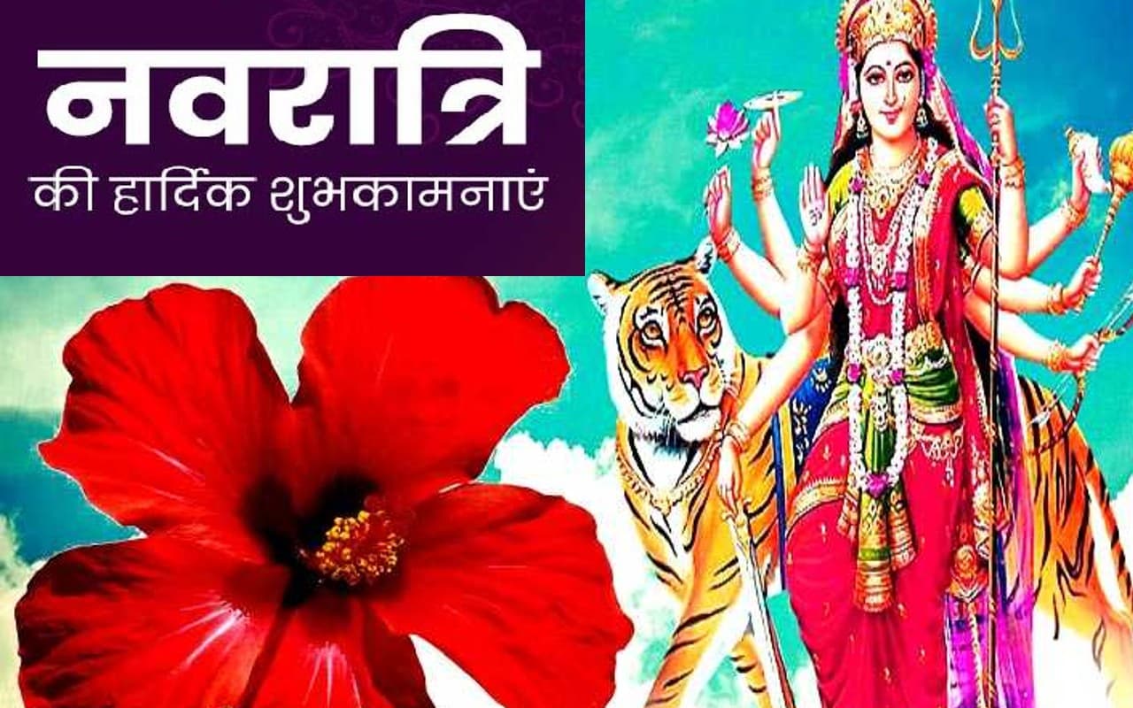 Happy Navratri 2022 Wishes Updates: नमो नमो दुर्गे सुख … नवरात्रि के मौके पर भेजें शुभकामना संदेश