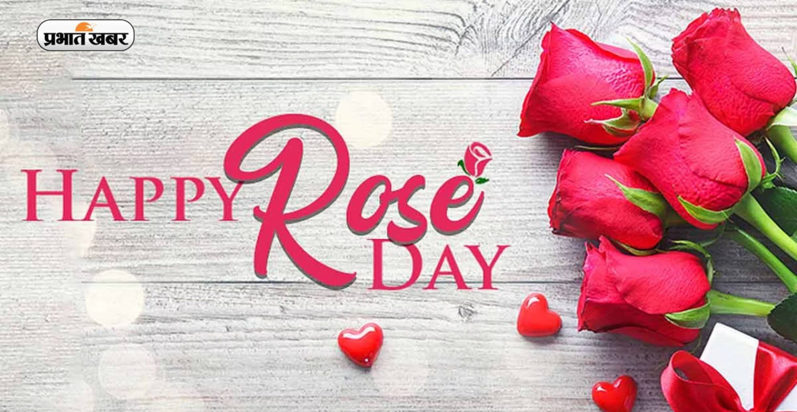 Happy Rose Day Wishes 2023: गुलाब की खूबसूरती भी ... रोज डे पर शेयर करें ये बधाई संदेश