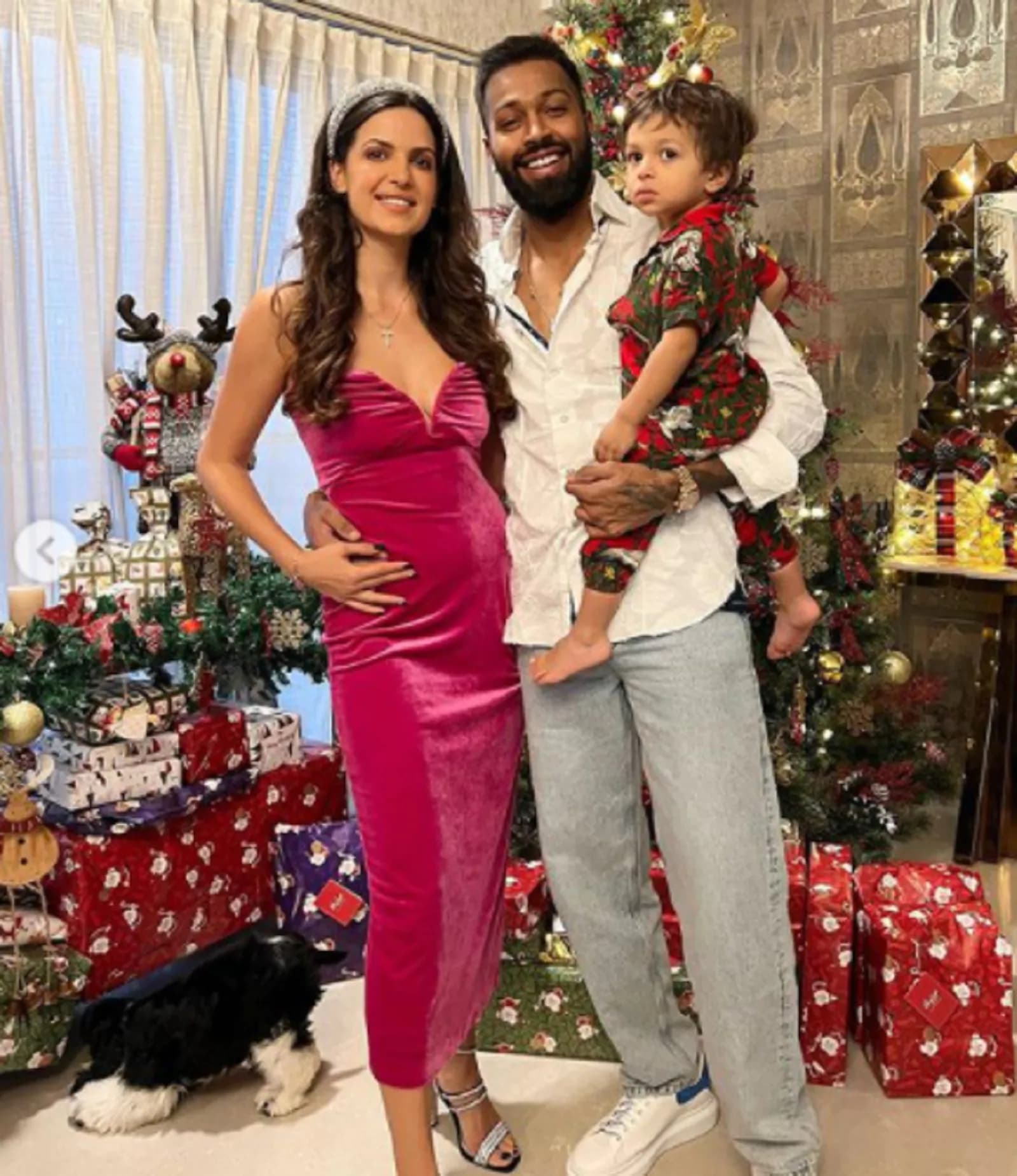 हार्दिक पांड्या दूसरी बार बनने वाले हैं पिता, क्रिसमस सेलिब्रेश में नताशा की फोटो देख फैंस ने पूछ डाले कई सवाल