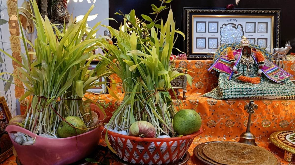 Harela Festival: लोक पर्व 'हरेला' से हुई आज यहां सावन की शुरुआत, इसलिए है बेहद खास, जानें मान्यता