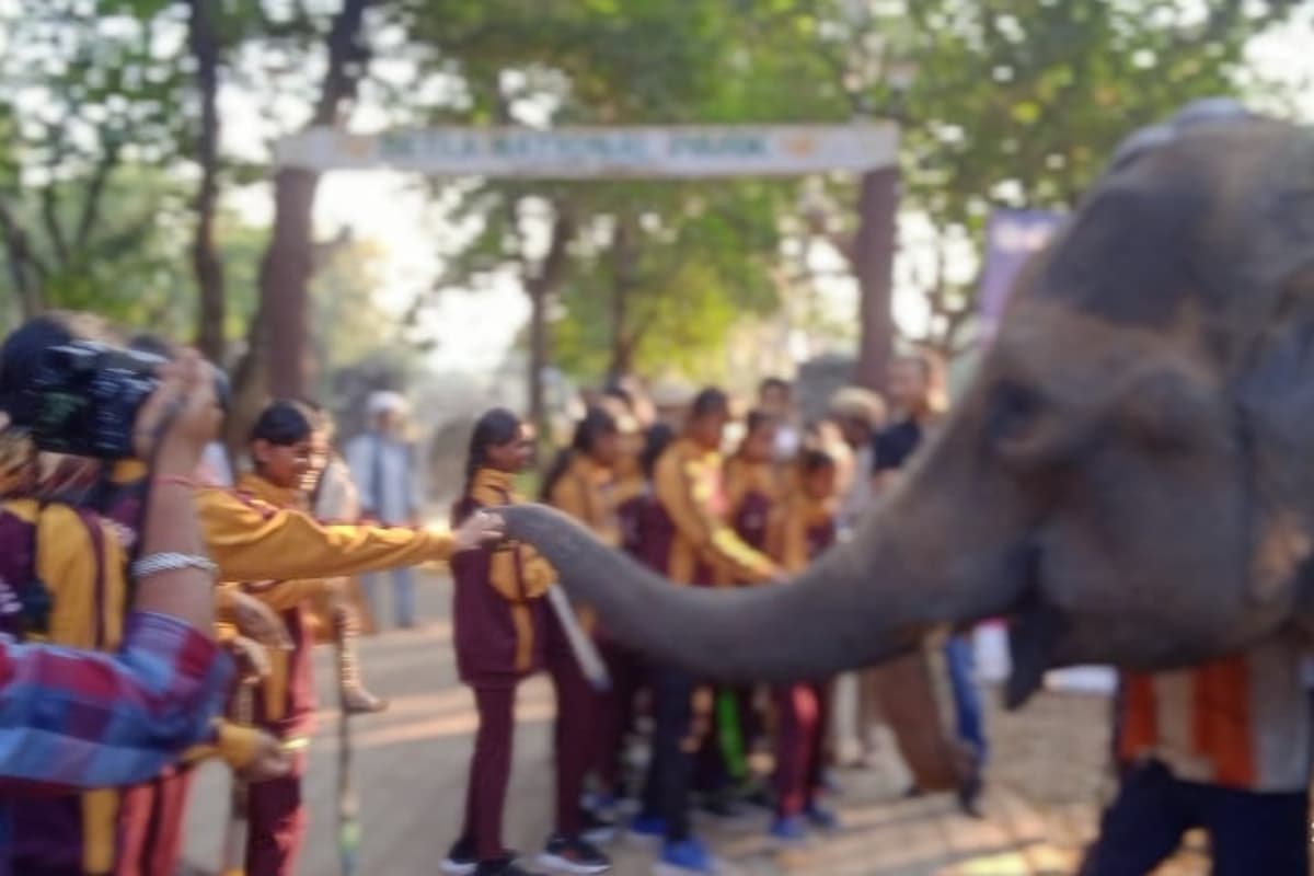सरायकेला-खरसावां में हाथियों का आतंक, जंगल में पत्ता चुनने गए एक व्यक्ति को जंगली हाथी ने पटक-पटककर मार डाला