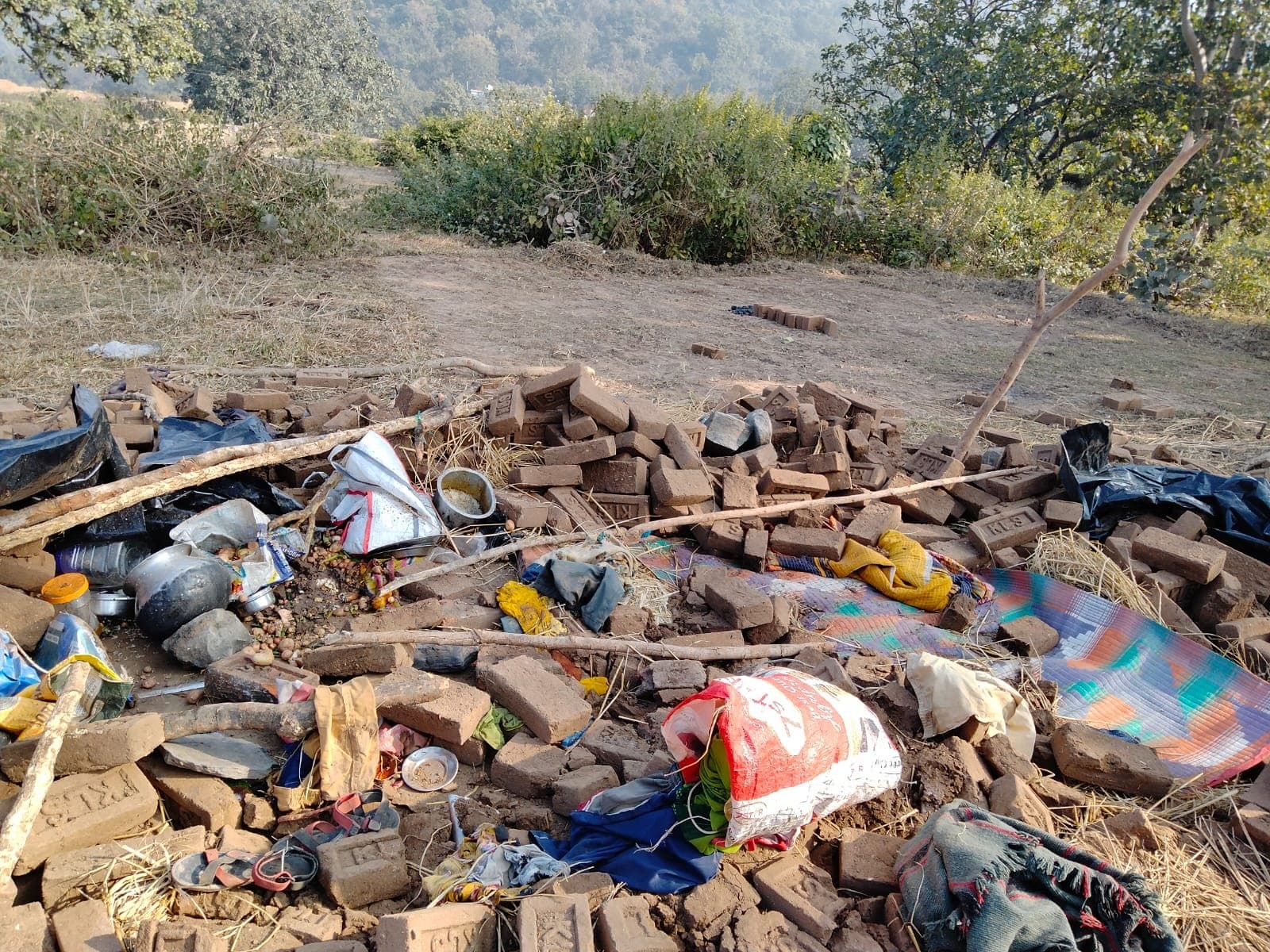 Jharkhand News: हाथियों के झुंड का झोपड़ी में सो रहे मजदूरों पर हमला, तीन लोगों की मौत, पिता समेत तीन घायल