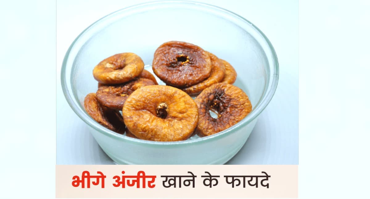 Figs Health Benefits: बड़ा फायदेमंद है भीगे अंजीर खाना, हार्ट संबंधित समस्याओं को करता है दूर
