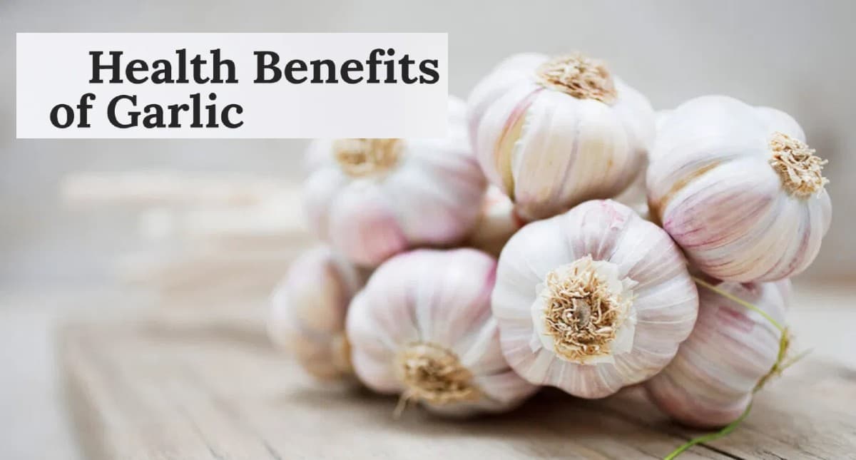 Benefits of Garlic in Sugar: डायबिटीज में  फायदेमंद है लहसुन, ऐसे करें सेवन