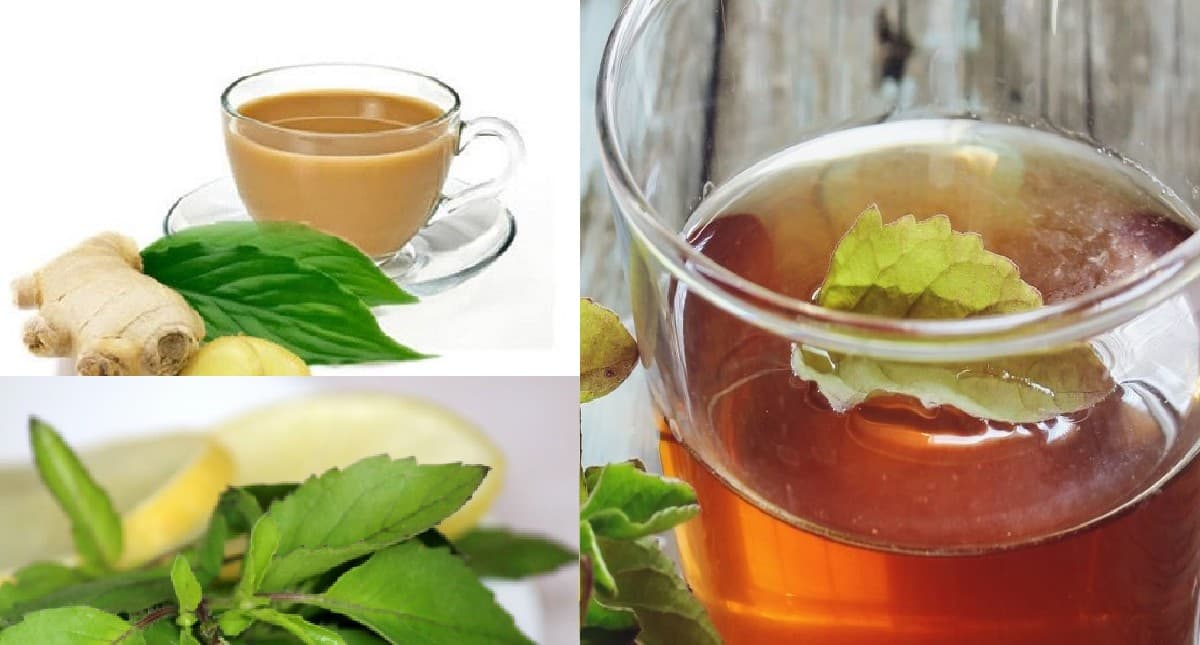 Monsoon Health Care: अपनी चाय में एड करें ये हर्ब्स, बारिश के मौसम में होने वाली परेशानी रहेगी कोसों दूर