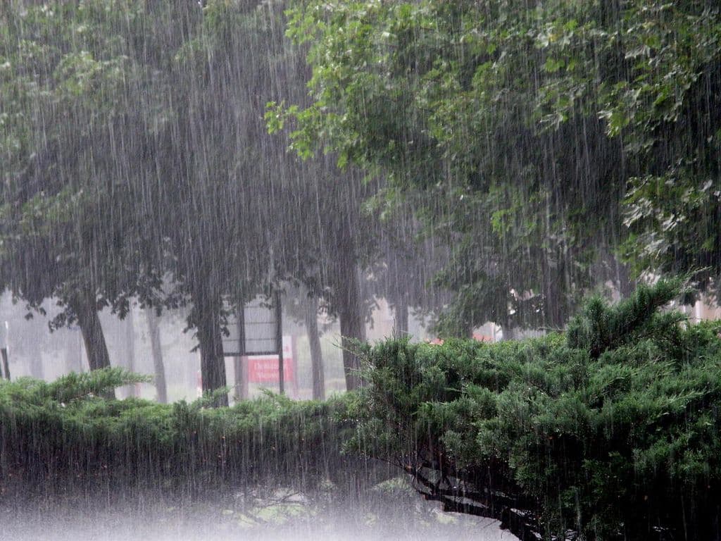 खेतों में भरा पानी, हल चलाना हुआ मुश्किल, धूप का इंतजार