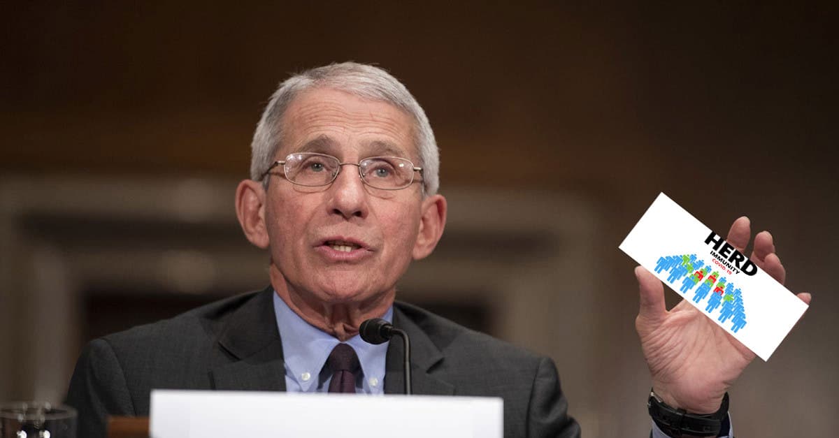 Coronavirus: कोरोनी महामारी के लिए हर्ड इम्यूनिटी के प्रयोग से हो सकती हैं ढेर सारी मौतें, अमेरिकी महामारी विशेषज्ञ ने कही ये बात