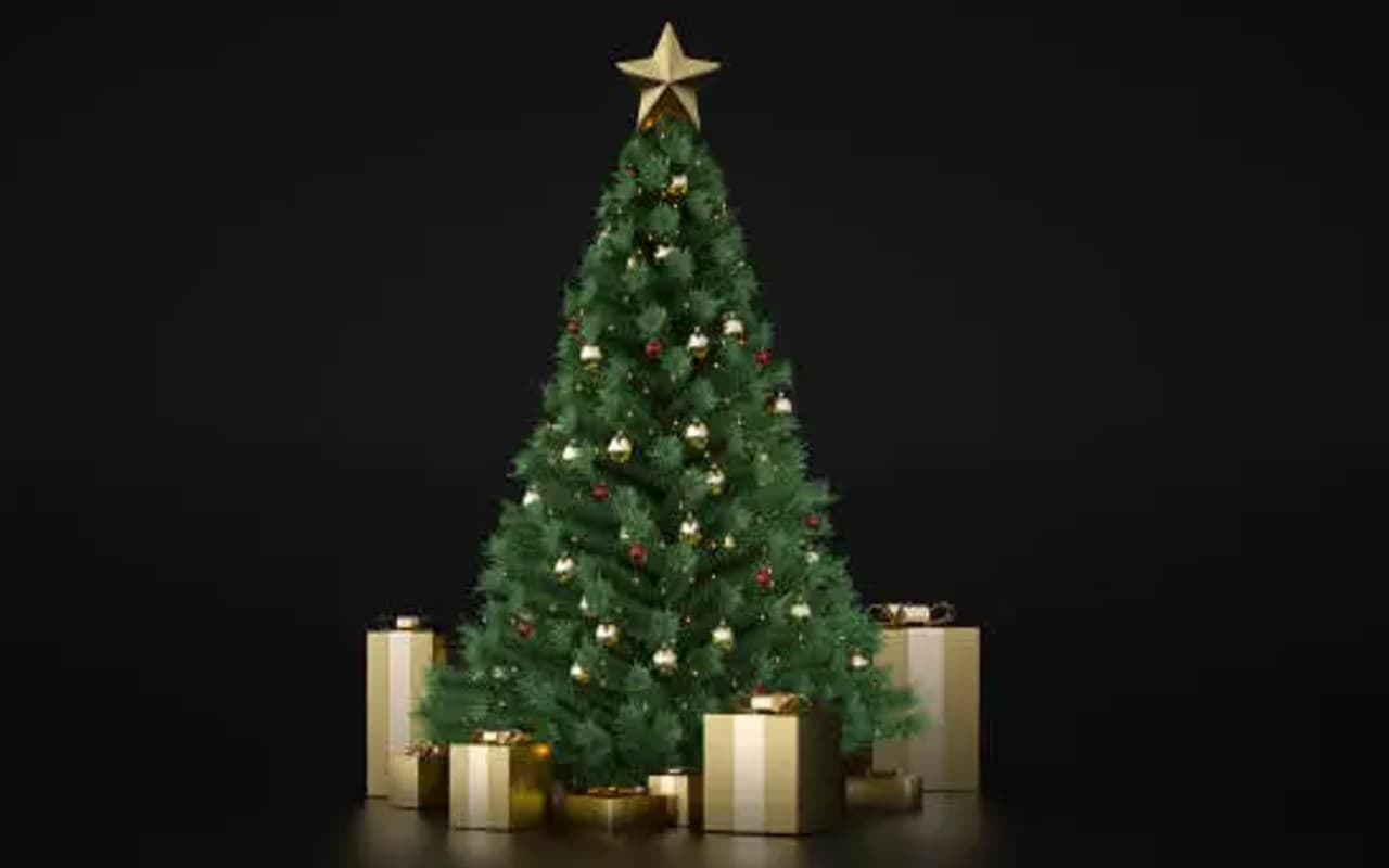 Christmas 2022: कम बजट में गोवा में मनाना चाहते हैं क्रिसमस, तो ये जगहें हैं आपके लिए बेस्ट!