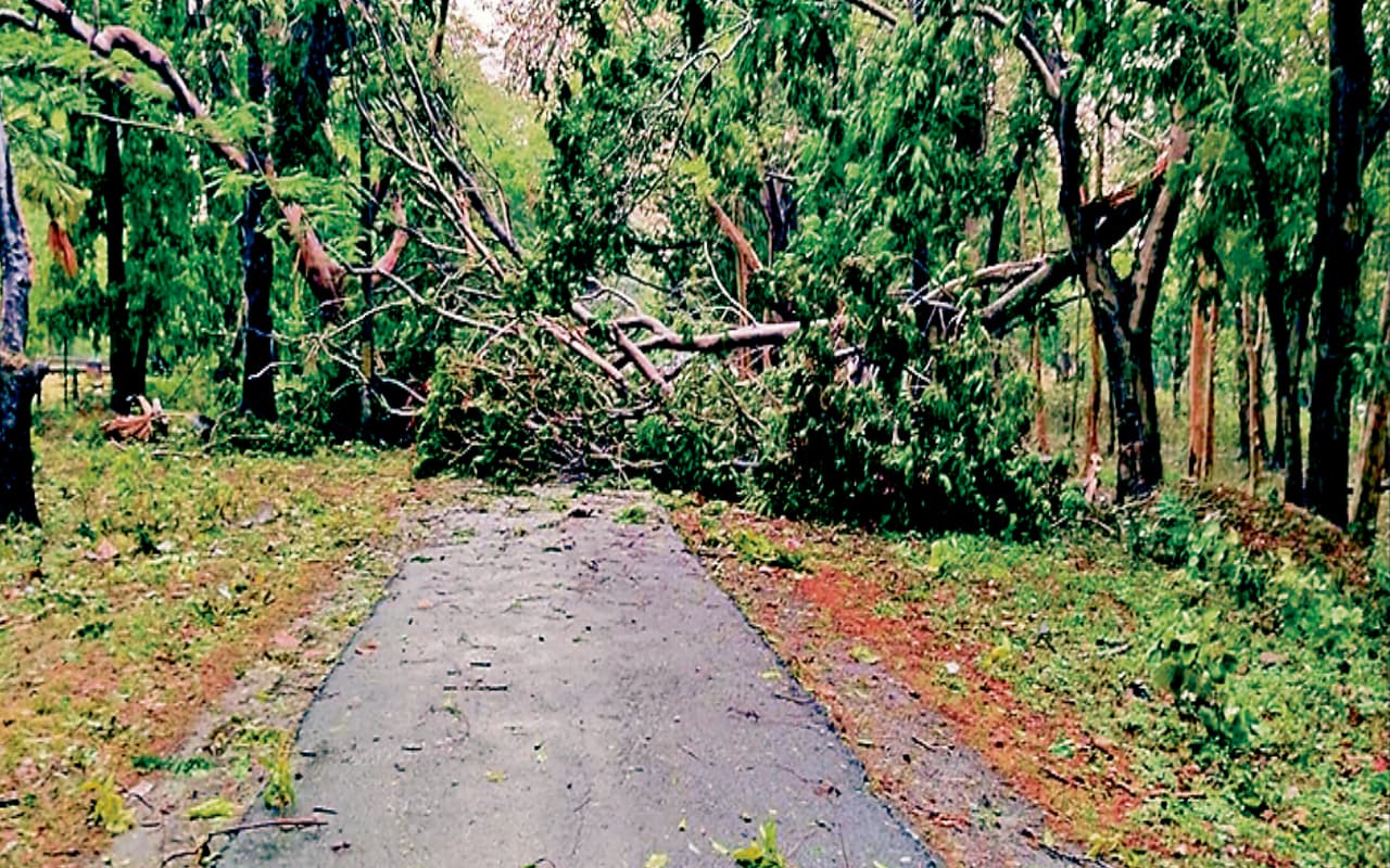 Jharkhand Weather LIVE: राज्य के इन जिलों में बारिश की प्रबल संभावना, मौसम विभाग ने जारी किया ऑरेंज अलर्ट