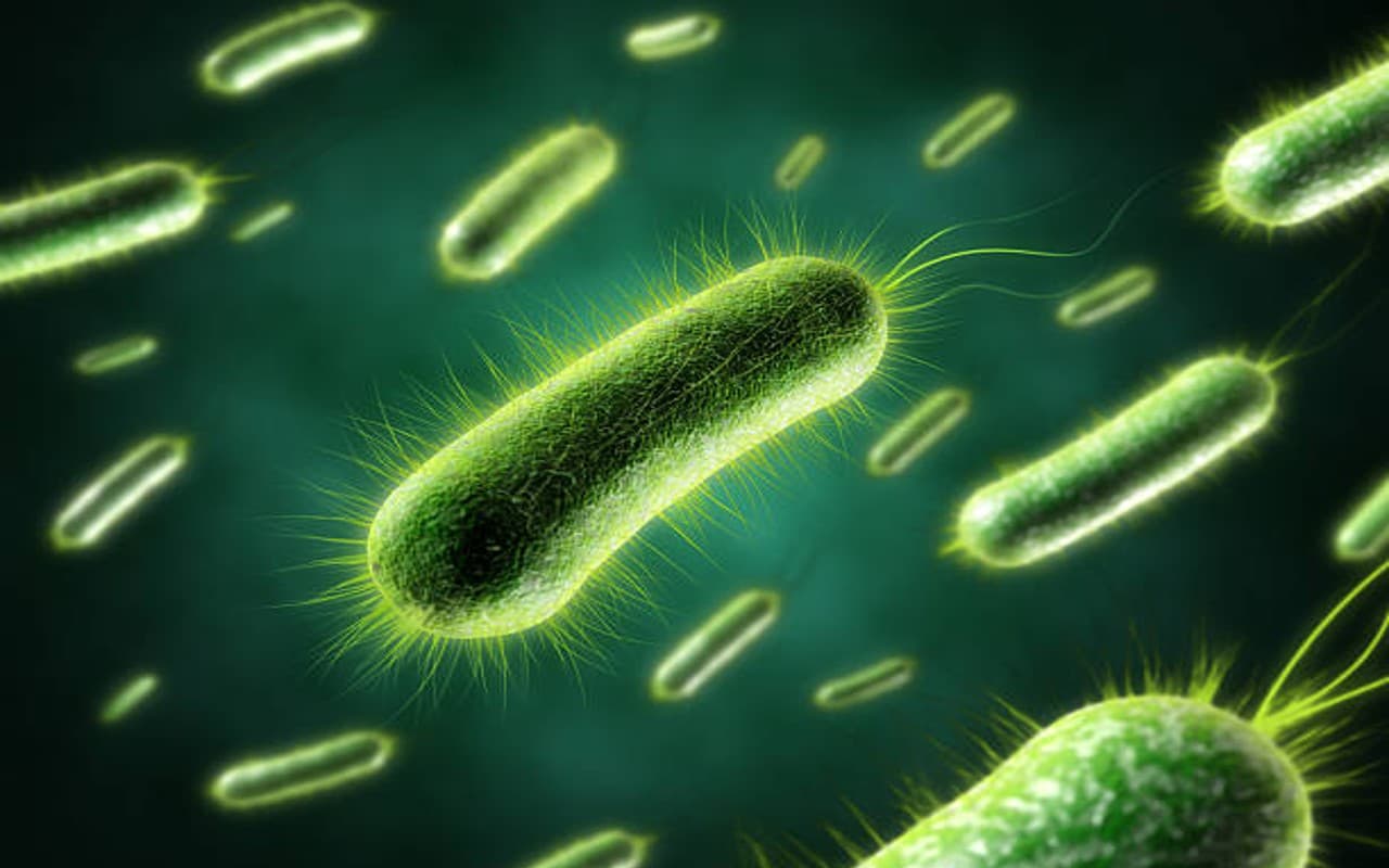 बिहार: बढ़ती गर्मी से बढ़ा डायरिया व पीलिया का खतरा, दो दिन में 310 भर्ती, बचाव के लिए इन बातों का रखें ख्याल