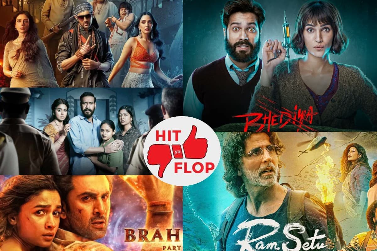 Hit-Flop Films: साल 2022 में इन फिल्मों ने मचाया धमाल, कुछ ने फेरे मेकर्स के आरमानों पर पानी, देखें लिस्ट
