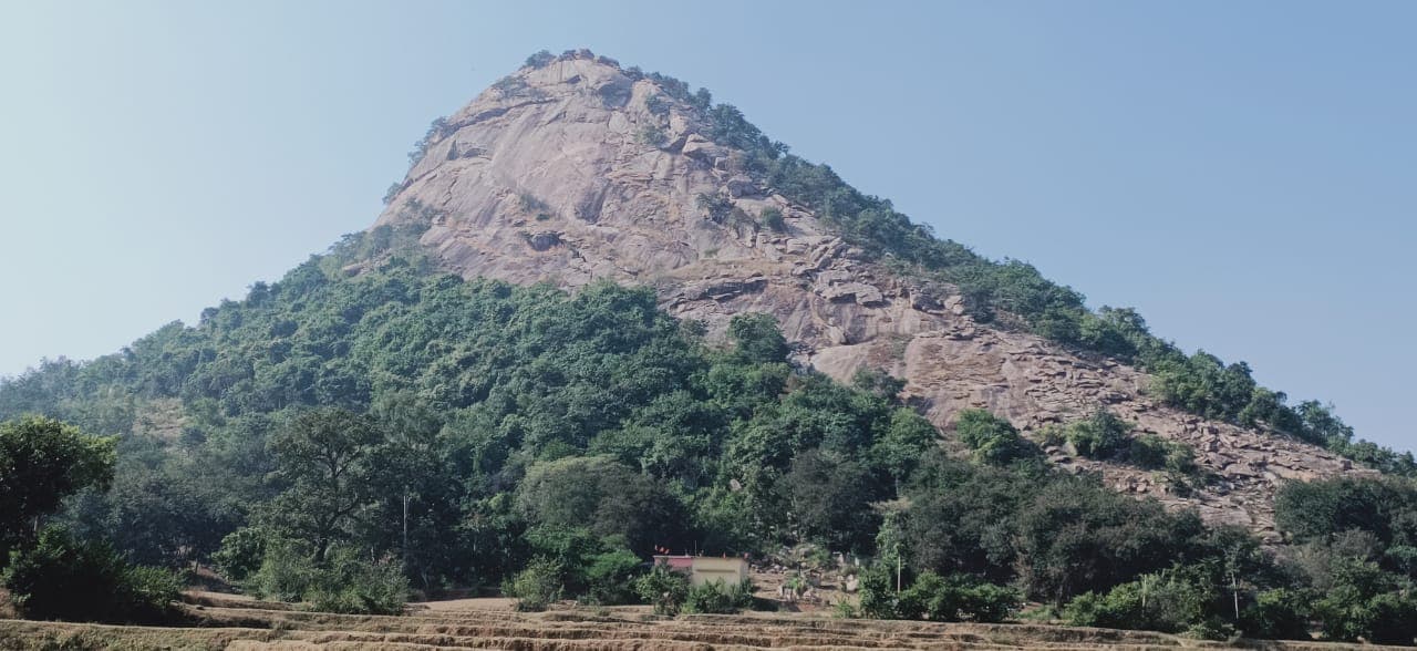 Holi 2021 : झारखंड के इस गांव में लोग नहीं खेलते होली, रंग-अबीर को हाथ तक नहीं लगाते