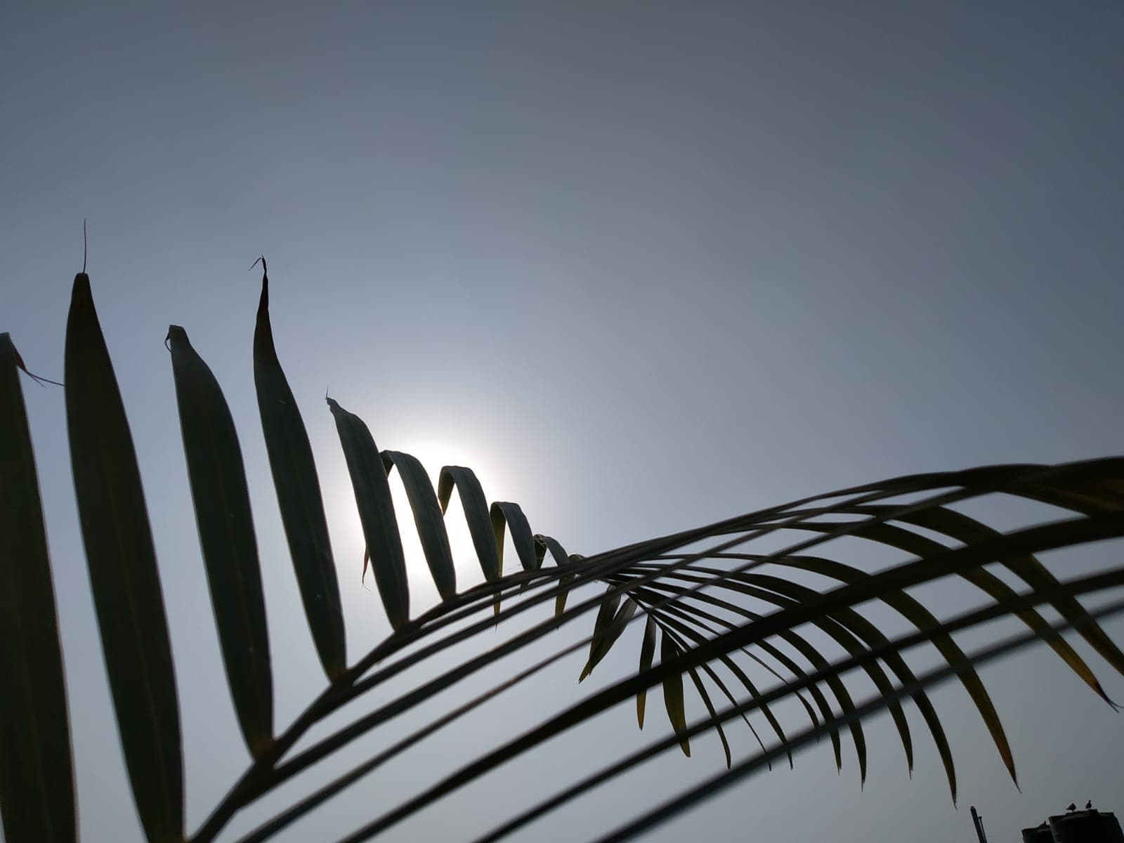 Weather Forecast: दिल्ली में तेज हवा, एमपी में बारिश के आसार, जानें बिहार-यूपी सहित अन्य राज्य का मौसम
