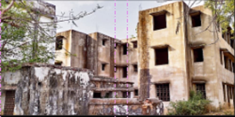 Palamu News: छत्तरपुर के अनुमंडलीय अस्पताल में काम कर रहे कर्मी खंडहरनुमा भवन में रहने को विवश