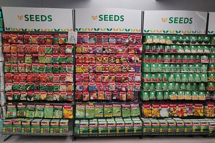 बिहार में बीज का लाइसेंस लेना हुआ आसान, विभाग ने तय की समय सीमा, जानिये कैसे मिलेगा बीज दुकान का लाइसेंस