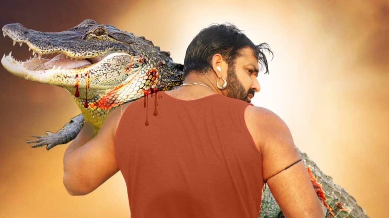 भोजपुरी स्टार पवन सिंह की फिल्म हर- हर गंगे ने बॉक्स ऑफिस पर मचाया धमाल, जानिए फिल्म में क्या है खास