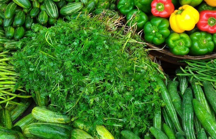 Green Vegetables Benefits: सर्दियों में अपने खाने में शामिल करें ये सब्जियां, कई रोगों से मिलेगा छुटकारा