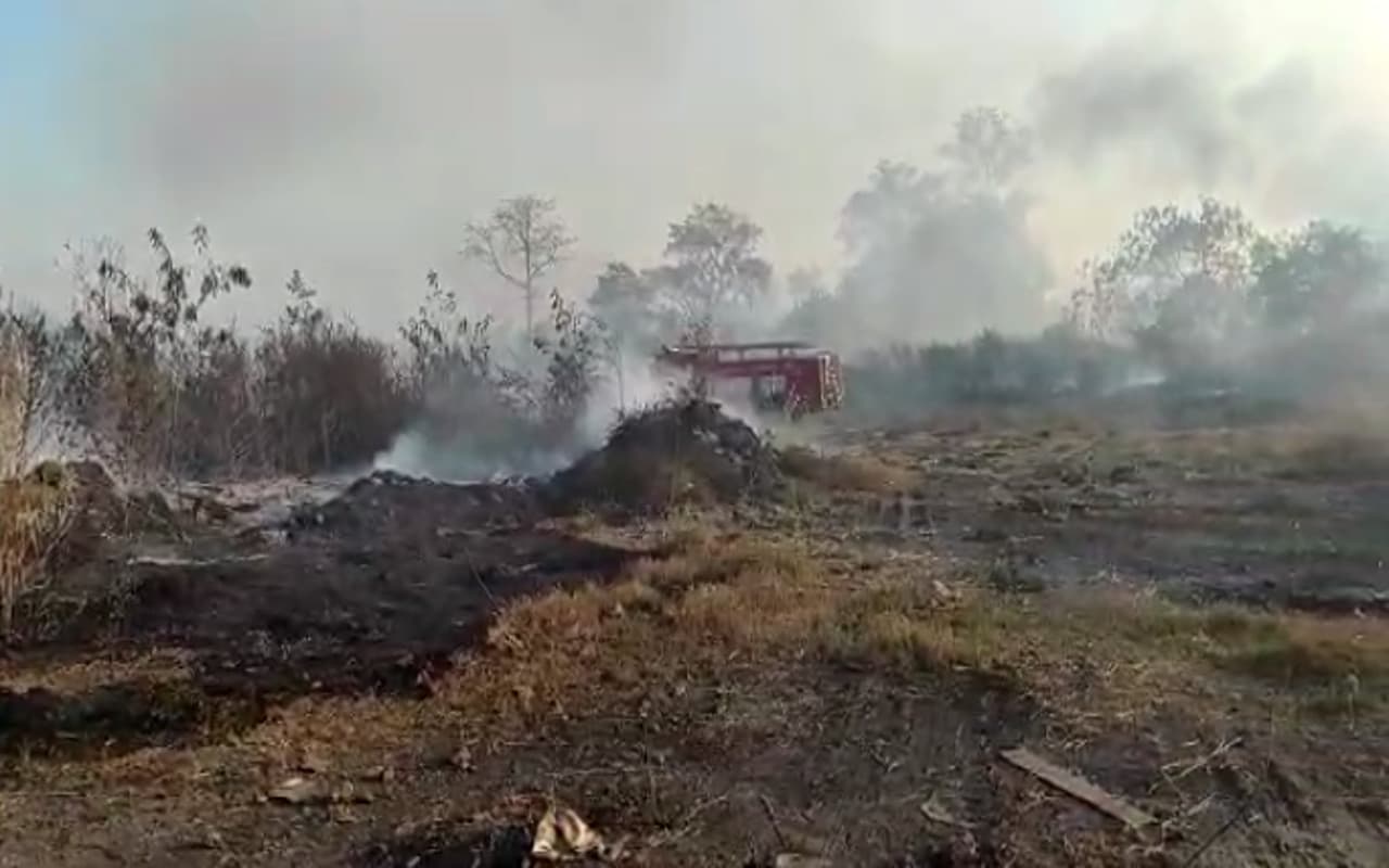 जलवायु  जोखिमों से निपटने की तैयारी में जुटा भारत, बजट में ग्रीन ग्रोथ पर जोर समझदारी भरा कदम