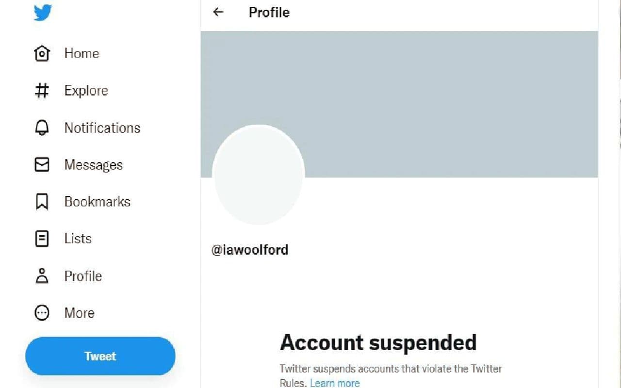 नकली Elon Musk बनकर ट्वीट करने वाले Ian Woolford का अकाउंट सस्पेंड