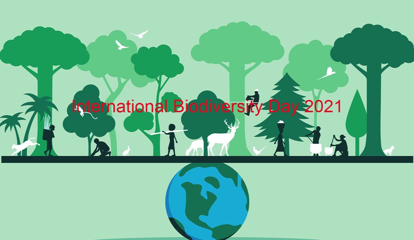 International Biodiversity Day 2021 : झारखंड सरकार के इन प्रयासों से मिल रहा है जैव विवधता को बढ़ावा, राज्य में 58 वर्ग किलोमीटर वन क्षेत्र बढ़े