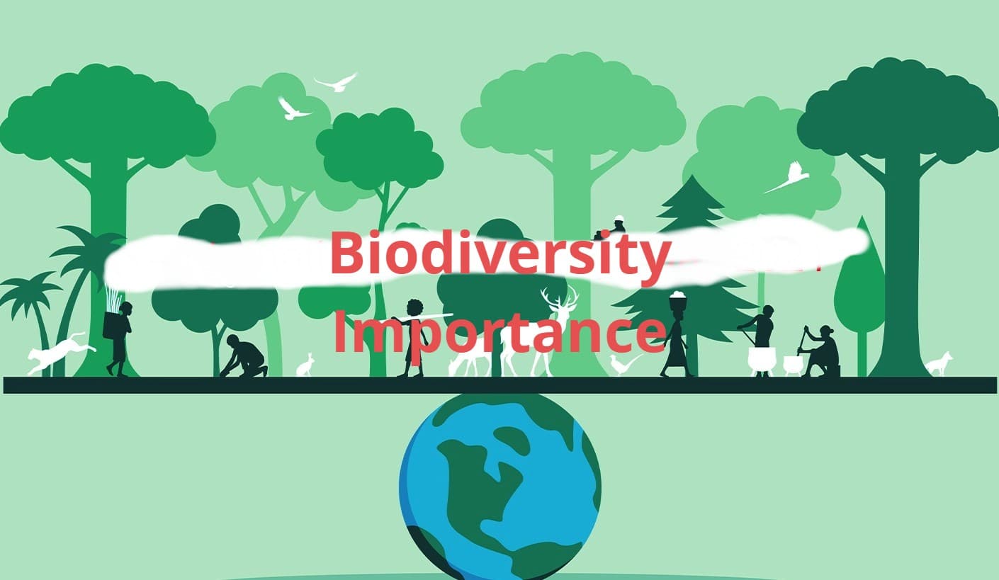 धरती के लिए जैव-विविधता आवश्यक