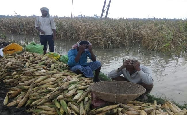 बिहार के किसानों को यास तूफान से फसल नुकसान का मिलेगा मुआवजा, जानें किन्हें मिल सकेगा यह लाभ