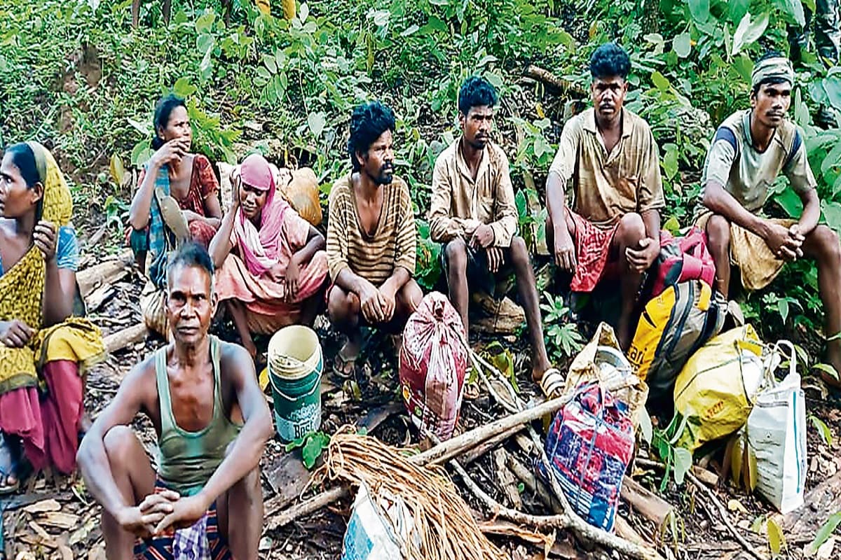 झारखंड: अवैध गांव बसाने के लिए काट डाले गये सारंडा के चिरुबेड़ा जंगल के 700 पेड़, आरोपियों पर होगी कार्रवाई