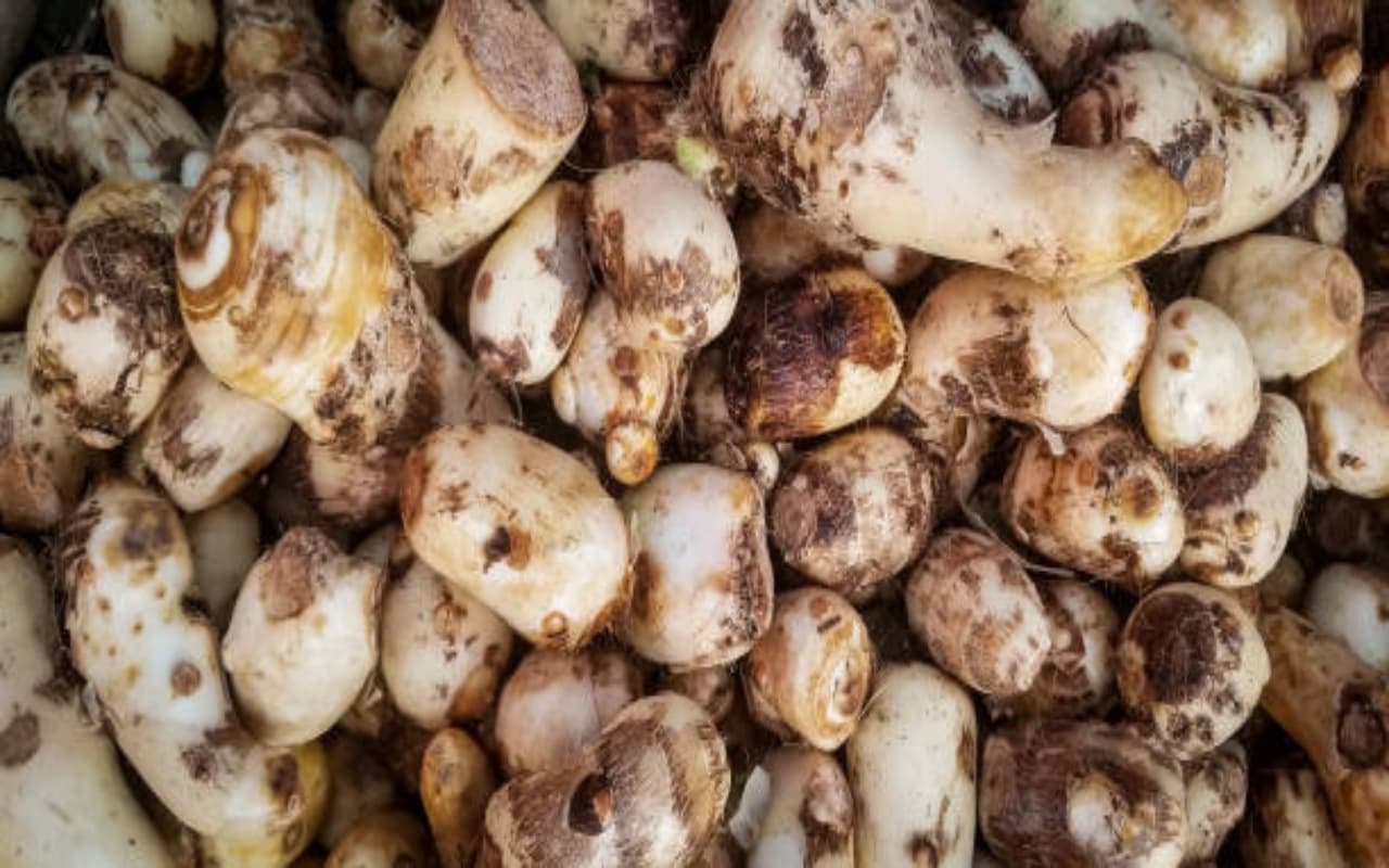 Healthy Food : कच्चू है पोषक तत्वों से भरपूर इसमे हैं कमाल के हेल्थ बेनेफिट