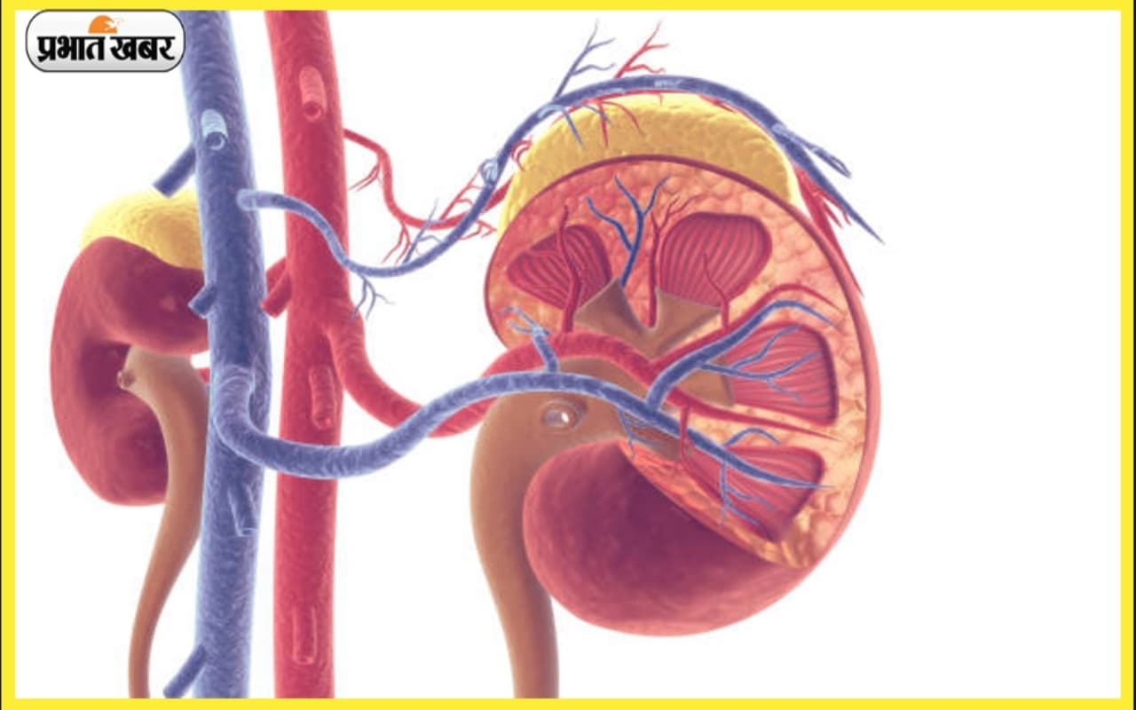H3N2 Influenza: किडनी के लिए बेहद खतरनाक है ये वायरस, जानें इसके लक्षण