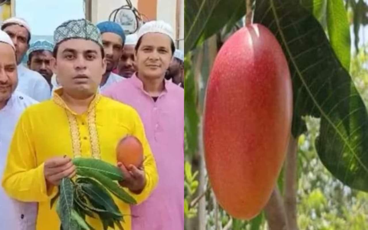 पश्चिम बंगाल में करीब 11 हजार में बिका एक आम, वजह जानकर हो जाएंगे हैरान