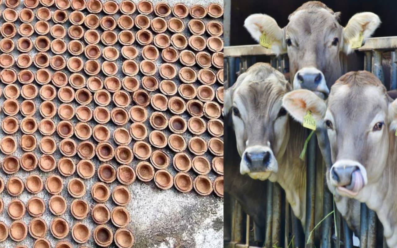 गोबर से सामान बनाने के साथ संवार रहीं पर्यावरण