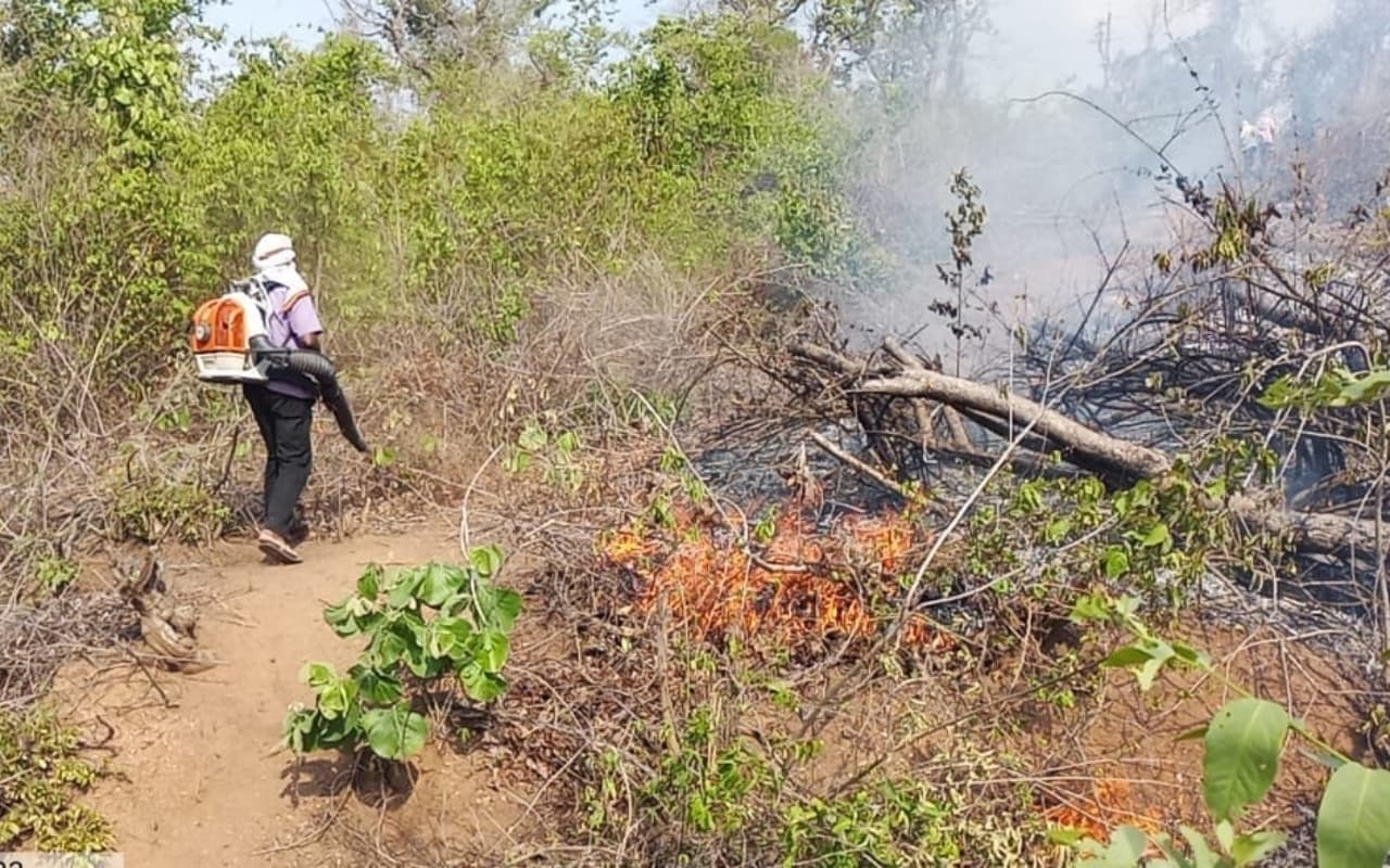 पलामू : PTR को आग से बचाने में ये तरीका कारगर, तुरंत मिलता है अलर्ट, जानें कैसे
