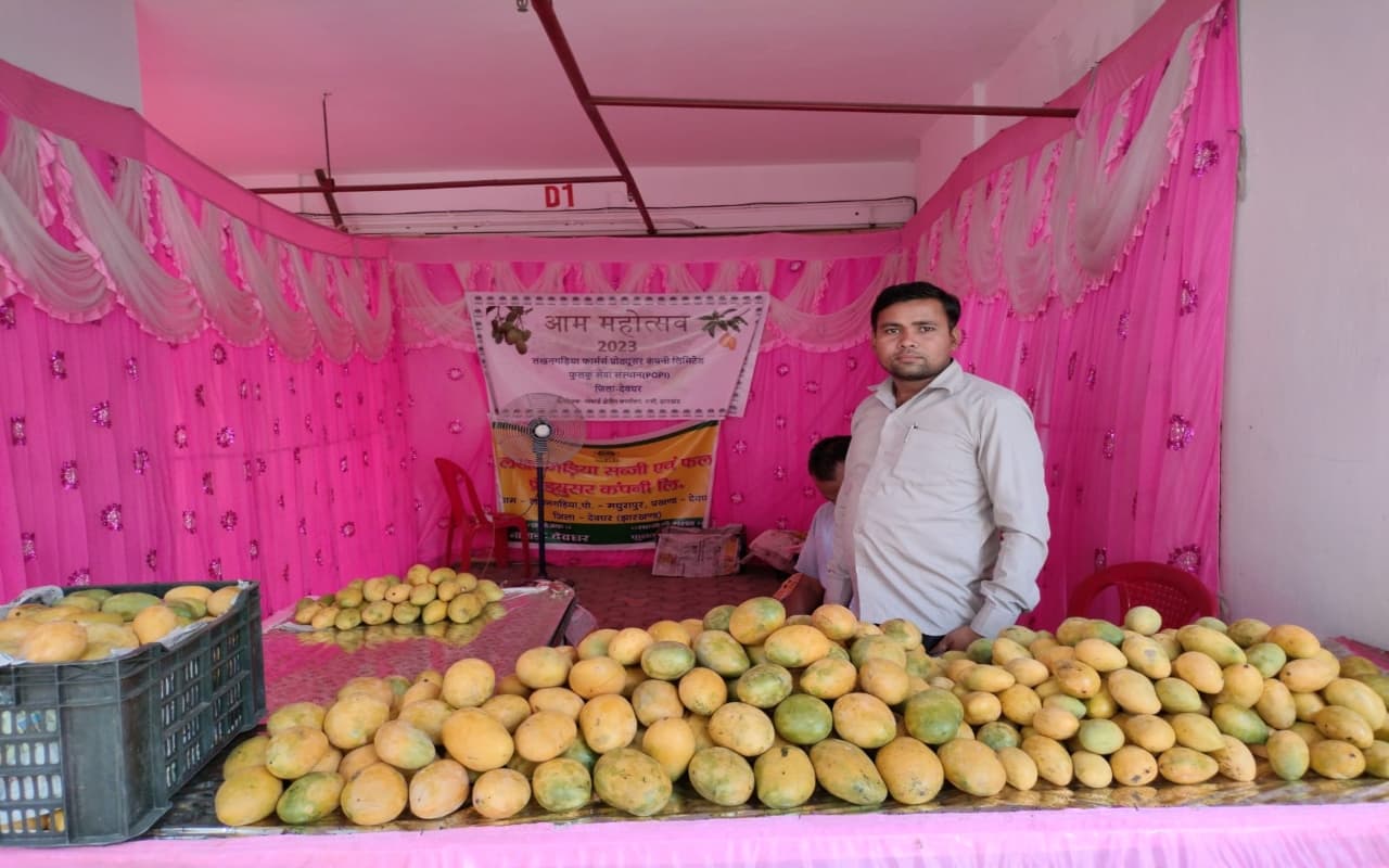 रांची के आम महोत्सव में ‘लोहा जंग’ और ‘काला पहाड़’, झारखंड में पाया जाता है यह खास आम