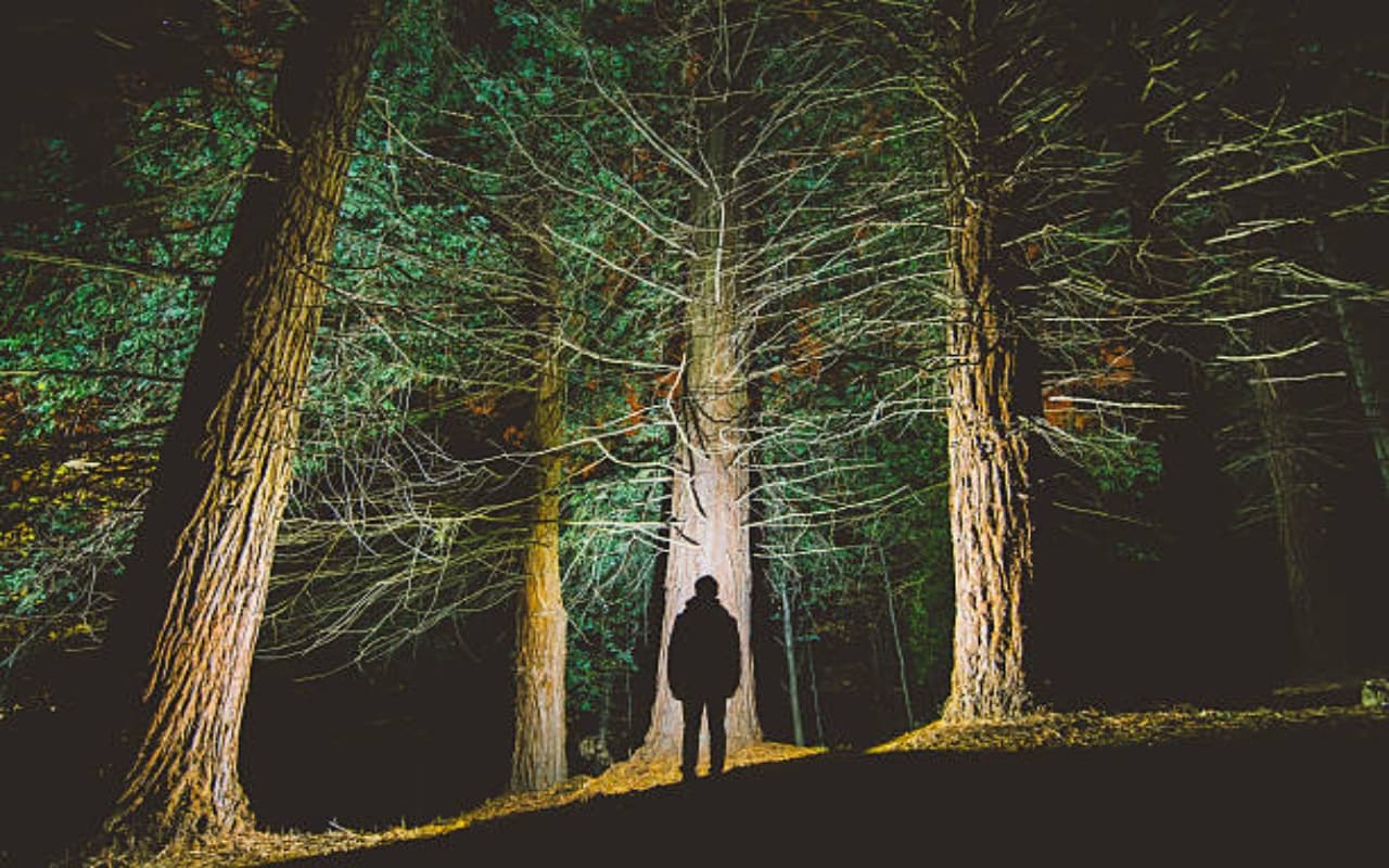 Mysterious Places in The World: दुनिया की 10 रहस्यमयी जगहें, यहां पल भर में इंसान की हो सकती है मौत!