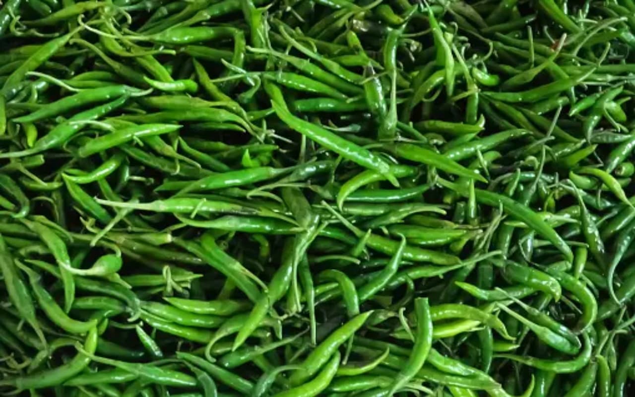 तीखेपन के लिए ही नहीं, सवास्थ के लिए भी बेस्ट है Green Chilly