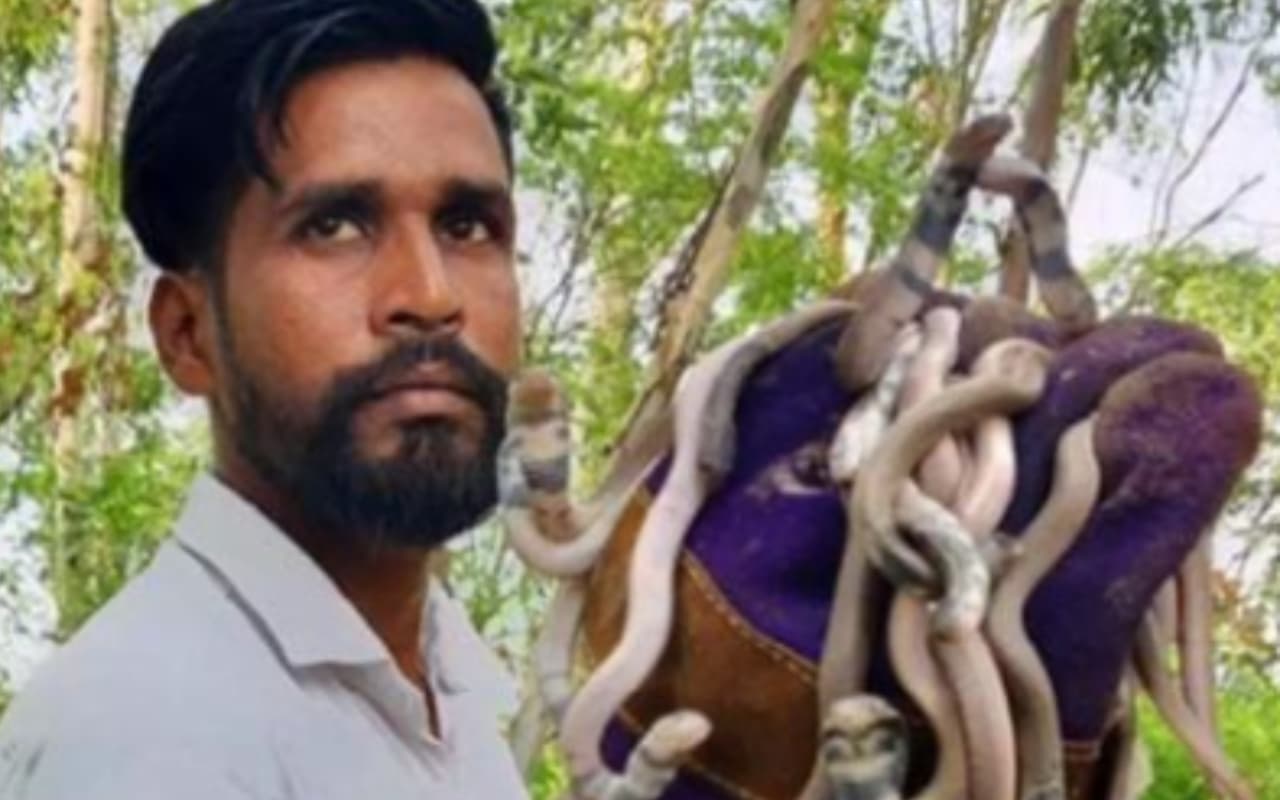 हरियाणा के जोगपाल बने सांपों के रक्षक, अब तक 5,600 से अधिक रेस्क्यू ऑपरेशन को दे चुके है अंजाम