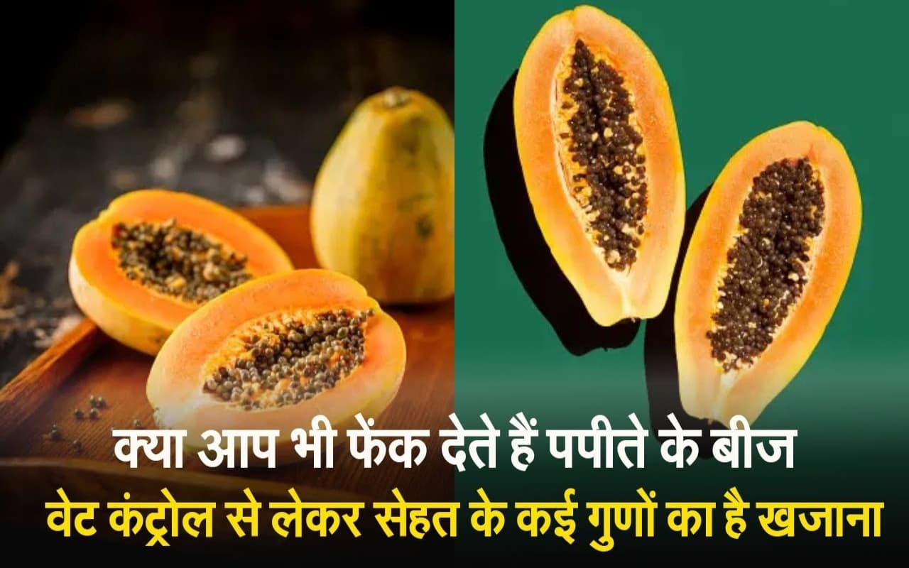 VIDEO: वेट कंट्रोल से लेकर सेहत के कई गुणों का है खजाना पपीते का बीज