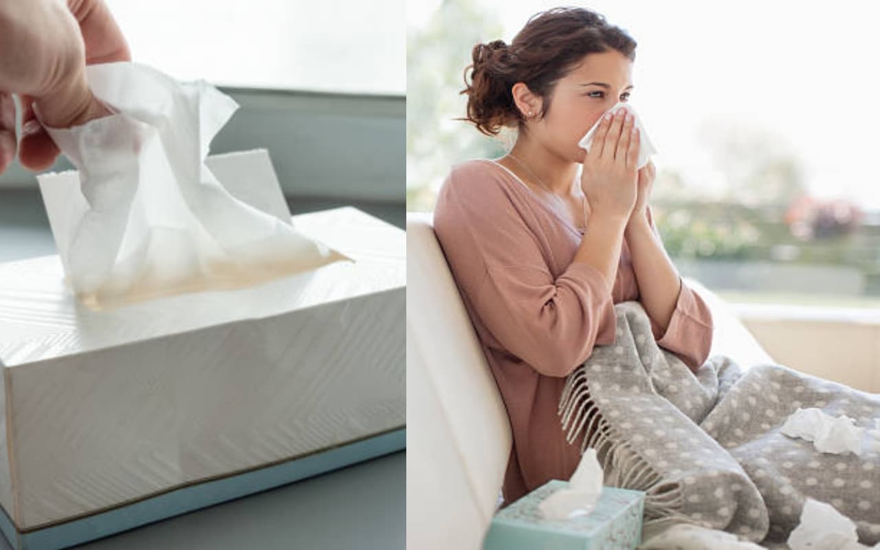 Research :  रूमाल या टिश्यू ? हमारे स्वास्थ्य और ग्रह के लिए कौन सा बेहतर है?