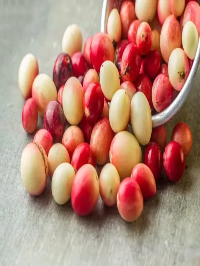 करौंदा में है सेहत का खजाना, कोलेस्ट्रॉल कंट्रोल के साथ एनीमिया करता है दूर