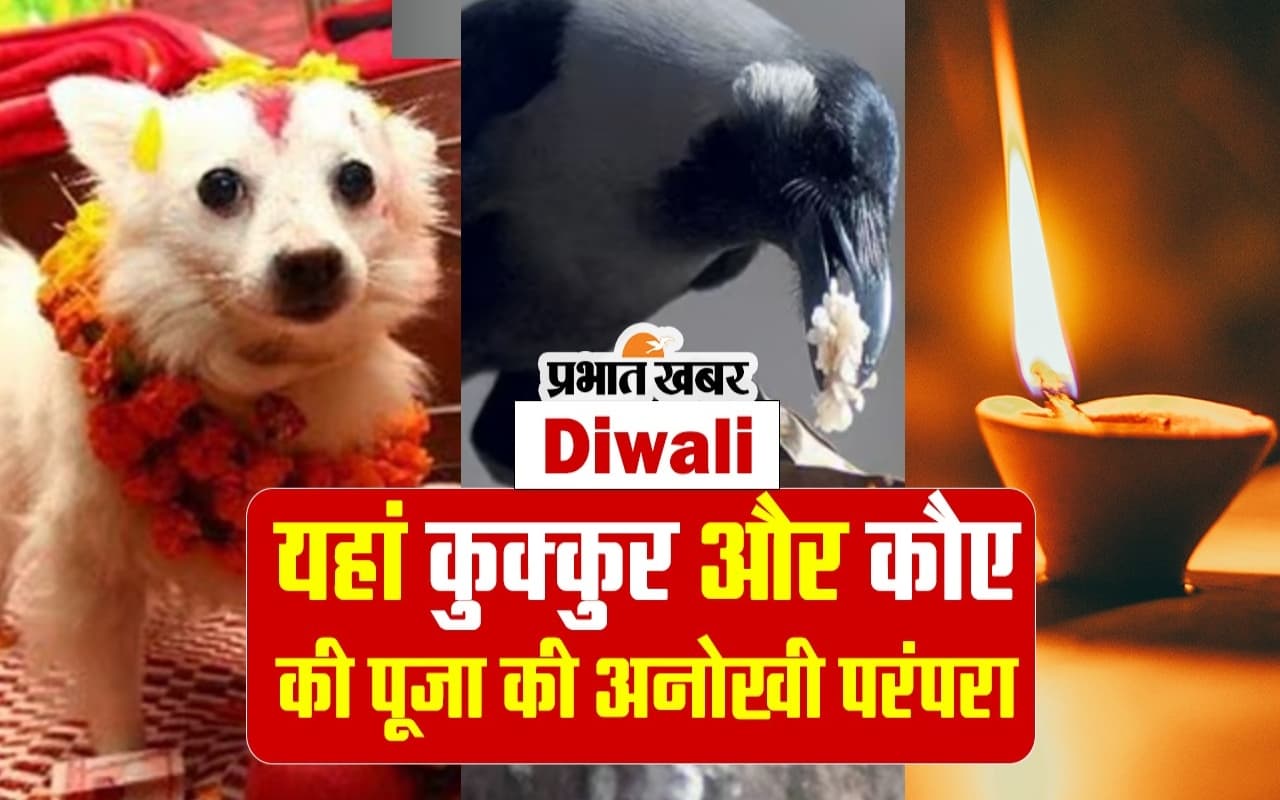 Diwali 2023: इस देश में दिवाली के दौरान कुक्कुर और कौए की पूजा की अनोखी परंपरा, देखें वीडियो