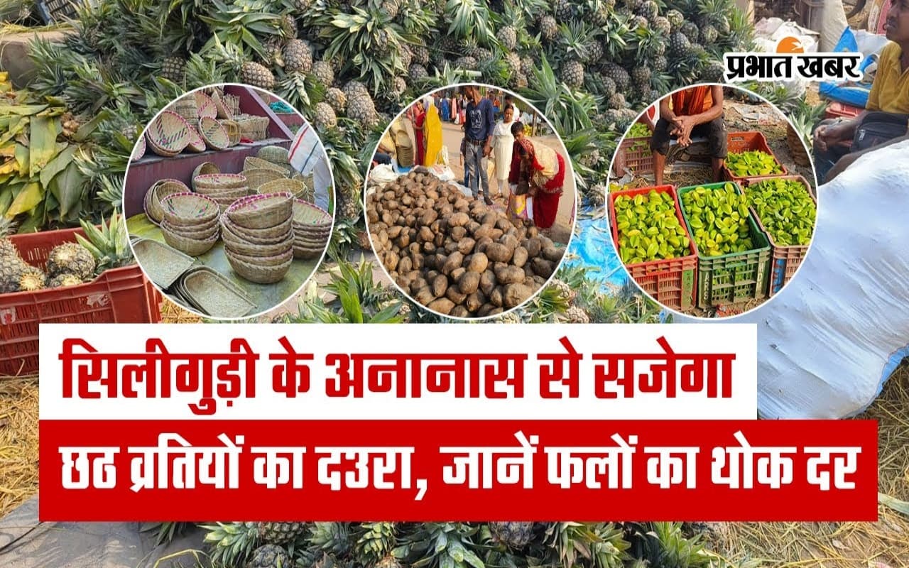 VIDEO: सिलीगुड़ी के अनानास से सजेगा छठ व्रतियों का दउरा, जानें फलों का थोक दर