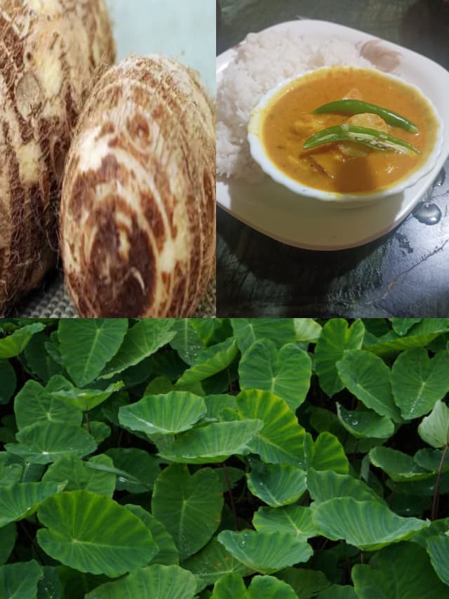 Food Recipes : बरसात में झटपट बनाएं कच्चू की सब्जी, जानिए कैसे आएगा बेजोड़ स्वाद
