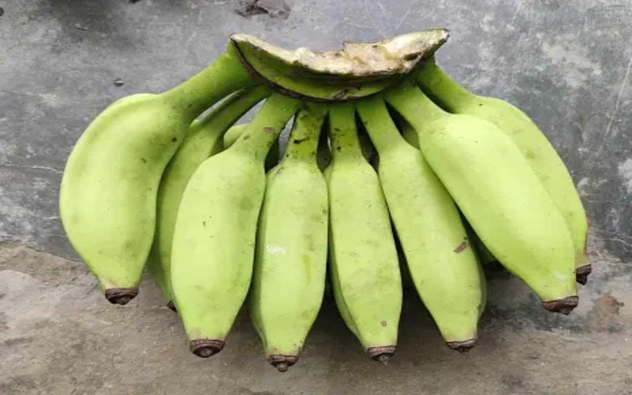 Health Tips : डायबिटीज पेशेंट का दोस्त है कच्चा केला, छिपे हैं कमाल के गुण