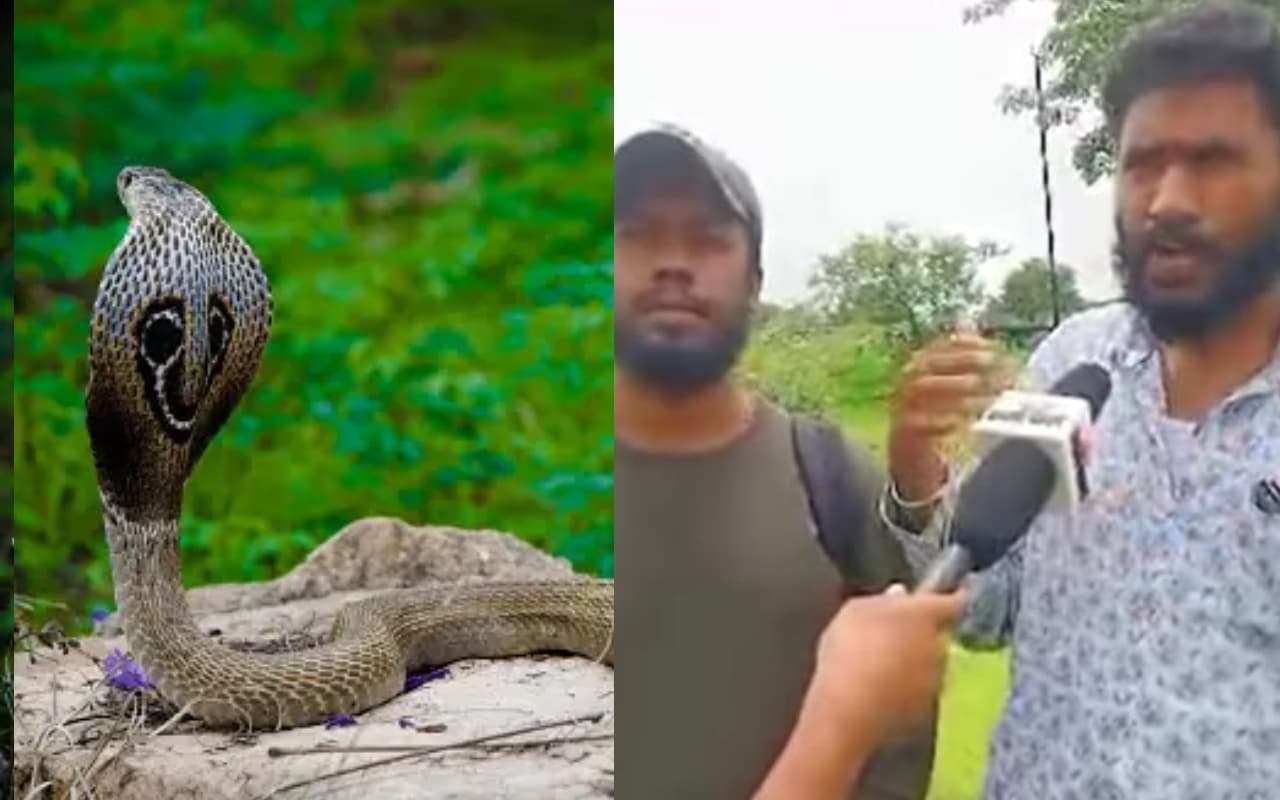 VIDEO नागपंचमी विशेषः सांपों से डरिए मत, अपनी रक्षा के साथ उनकी भी जान बचाइए, सर्पमित्र से जानिए खास बातें