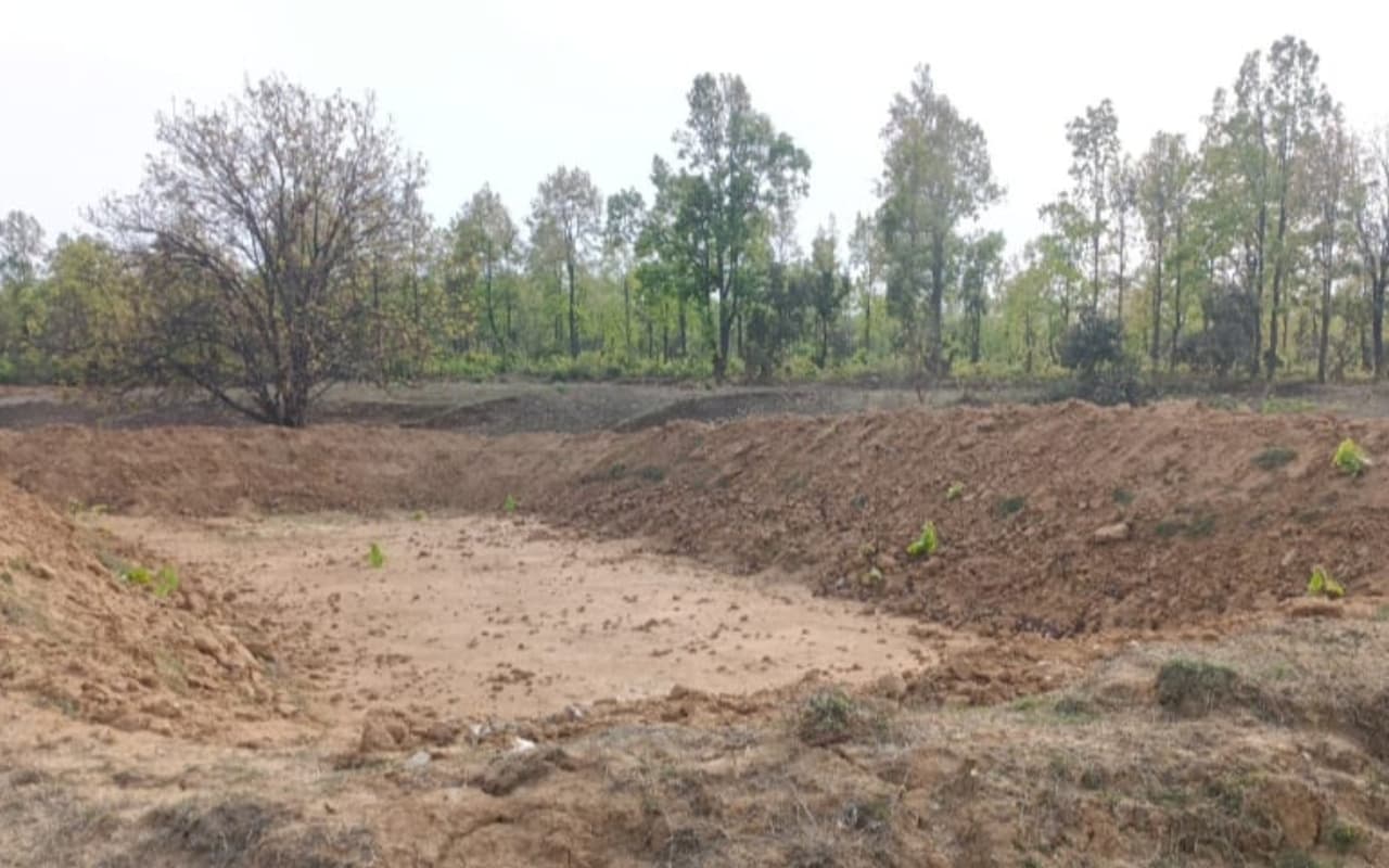 Tongue Shape Personality Traits: इस आकार के जीभ वाले लोग होते हैं बड़े गुस्सैल, क्या है आपका टंग शेप?