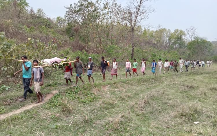 झारखंड में जंगली हाथियों का कहर जारी, गोबरघुसी के जंगलों में बुजुर्ग को उतारा मौत के घाट