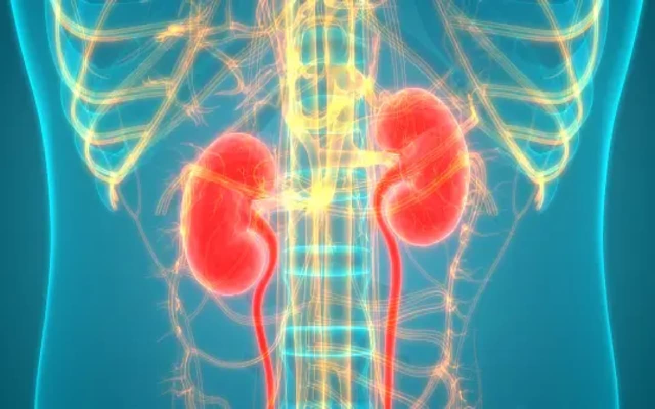 Women Health: UTI से सबसे ज्यादा महिलाएं होती हैं परेशान, पहचानिए लक्षण और जानिए बचाव Women Health: UTI से सबसे ज्यादा महिलाएं होती हैं परेशान, पहचानिए लक्षण और जानिए बचाव